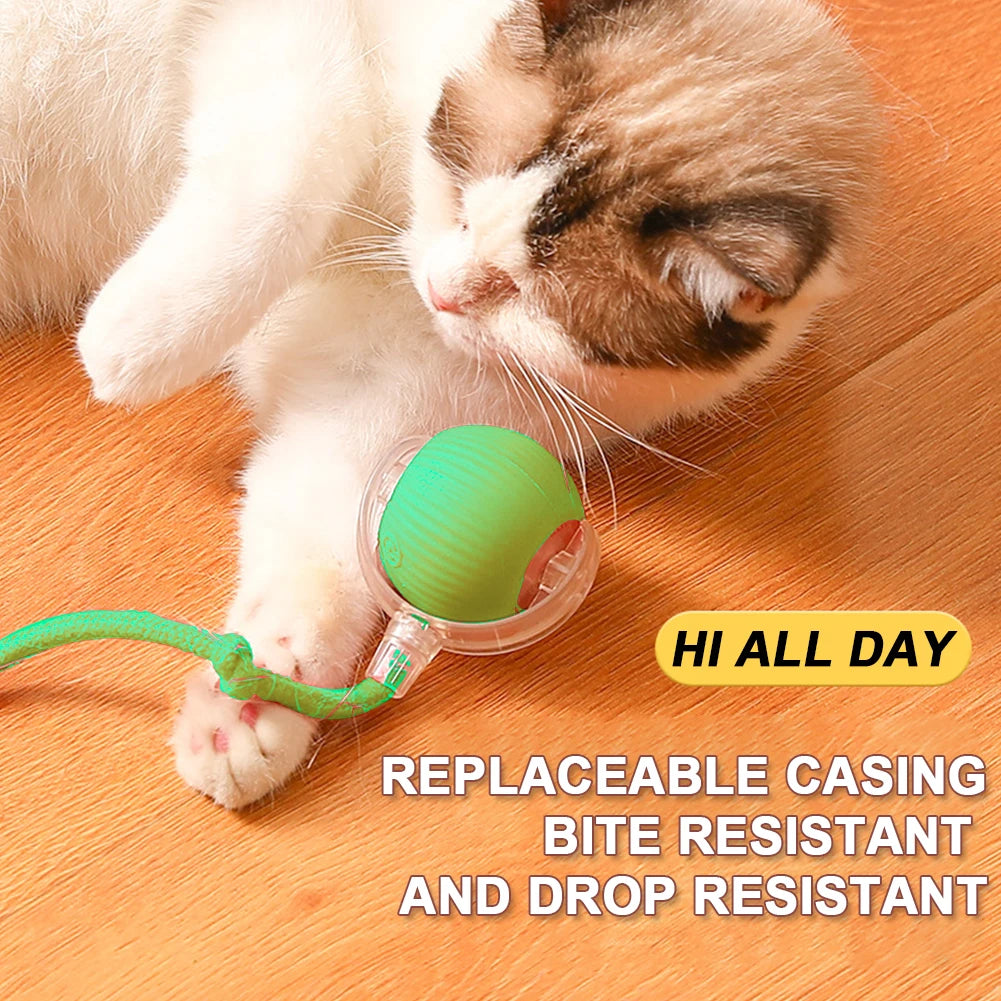 Pet Cat Smart Ball Toy