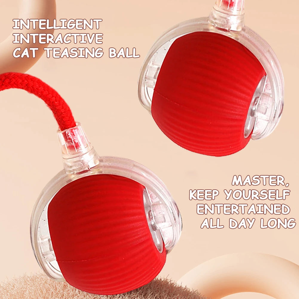 Pet Cat Smart Ball Toy