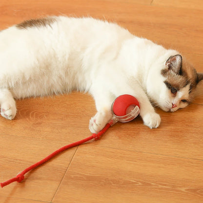 Pet Cat Smart Ball Toy